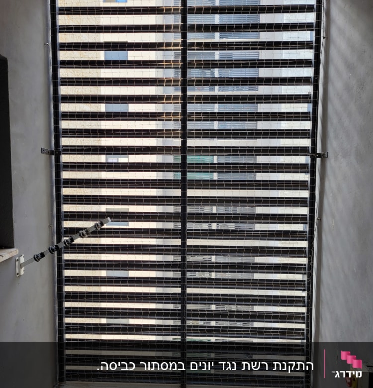 רשת מתכת מותקנת על חלון למניעת כניסת יונים